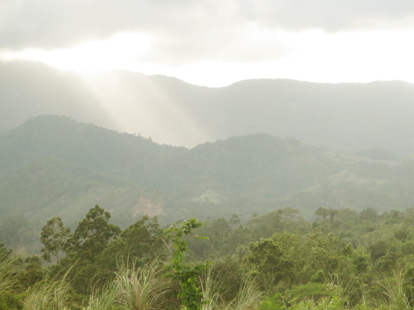 Travel Diary: An Empty Day to Create and Dream