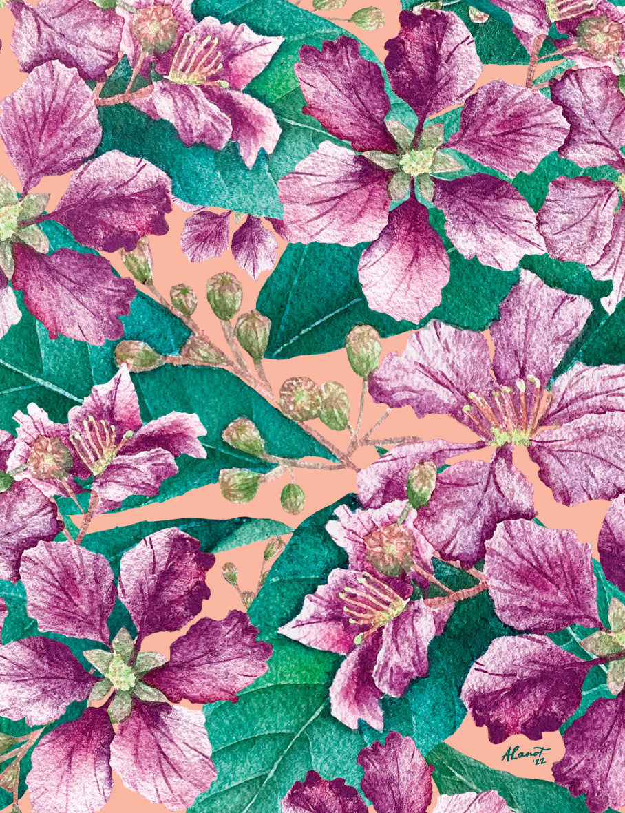 Beneath a Banaba Canopy