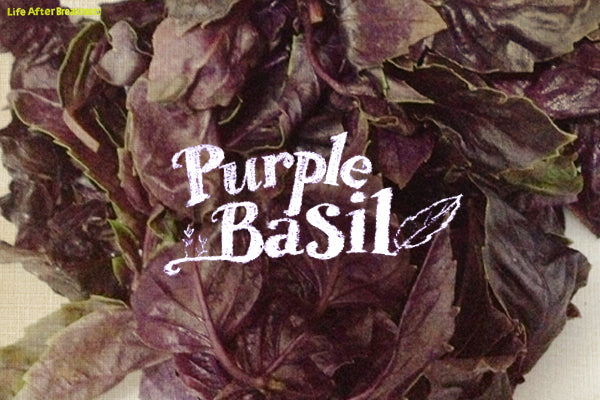 Kitchen Adventures: Purple Basil Pesto