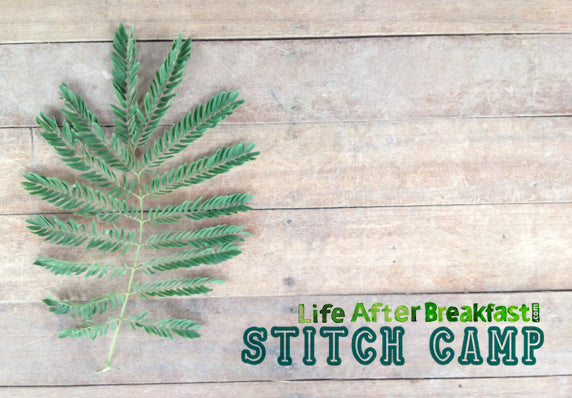 The Stitch Camp