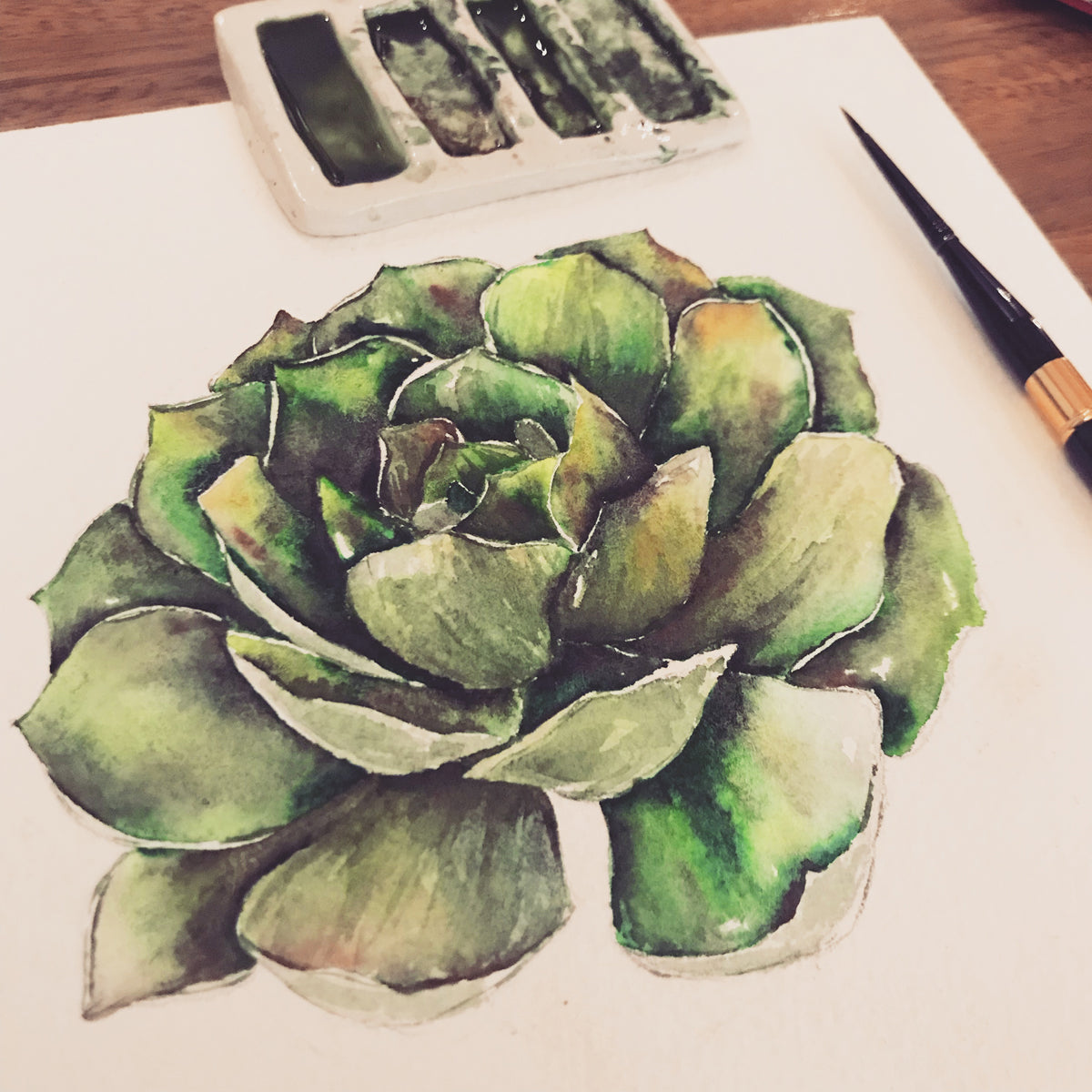Watercolored Succulents & Houseplants at LittlePaperPlanes SF