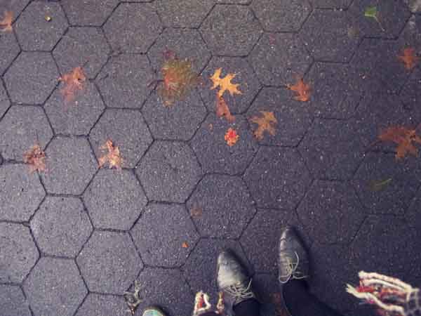 Hello, Fall!