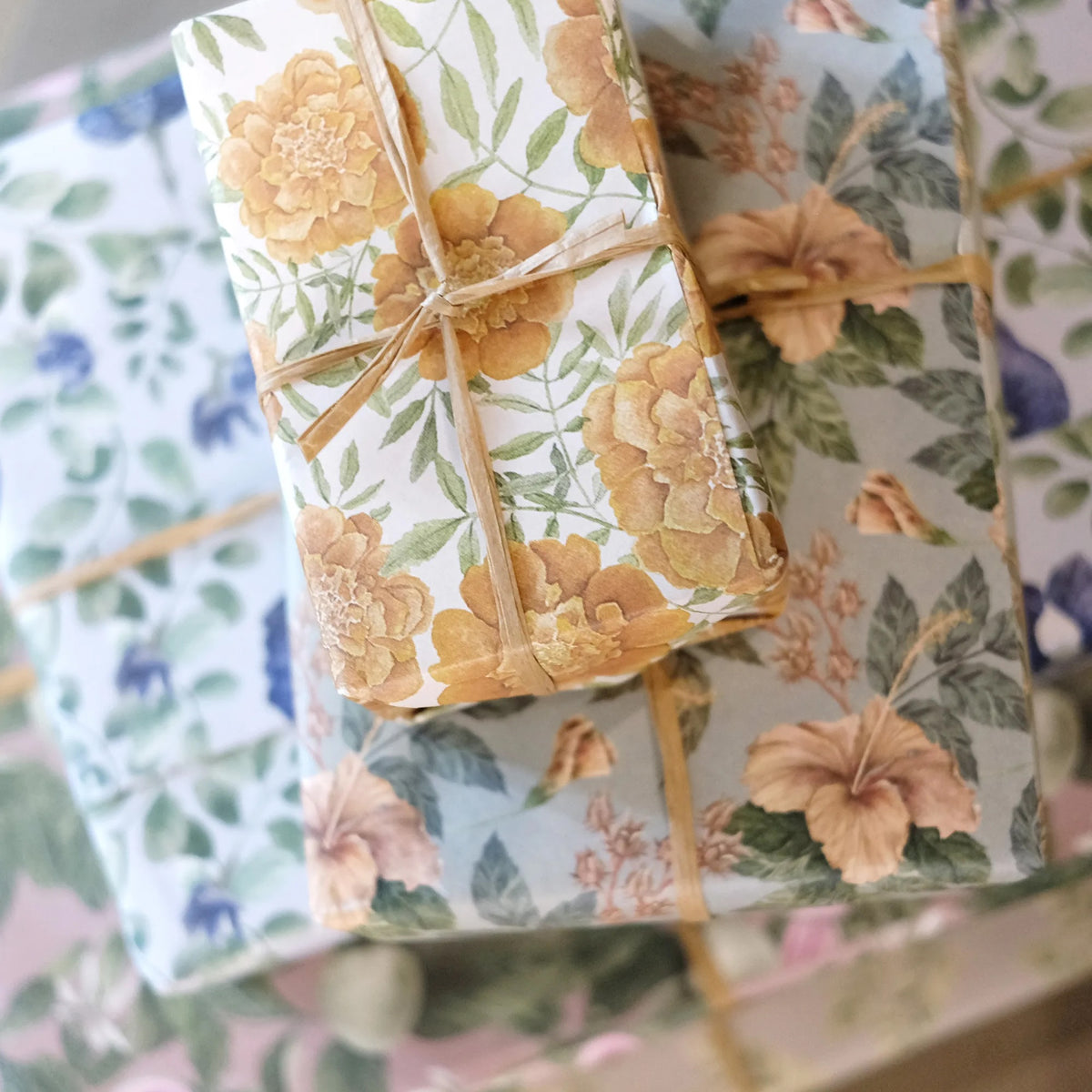 Wrapping Paper Book - At Your Own Pace