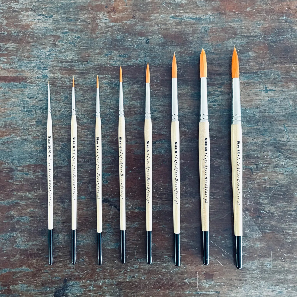 Wooden Watercolor Brushes
