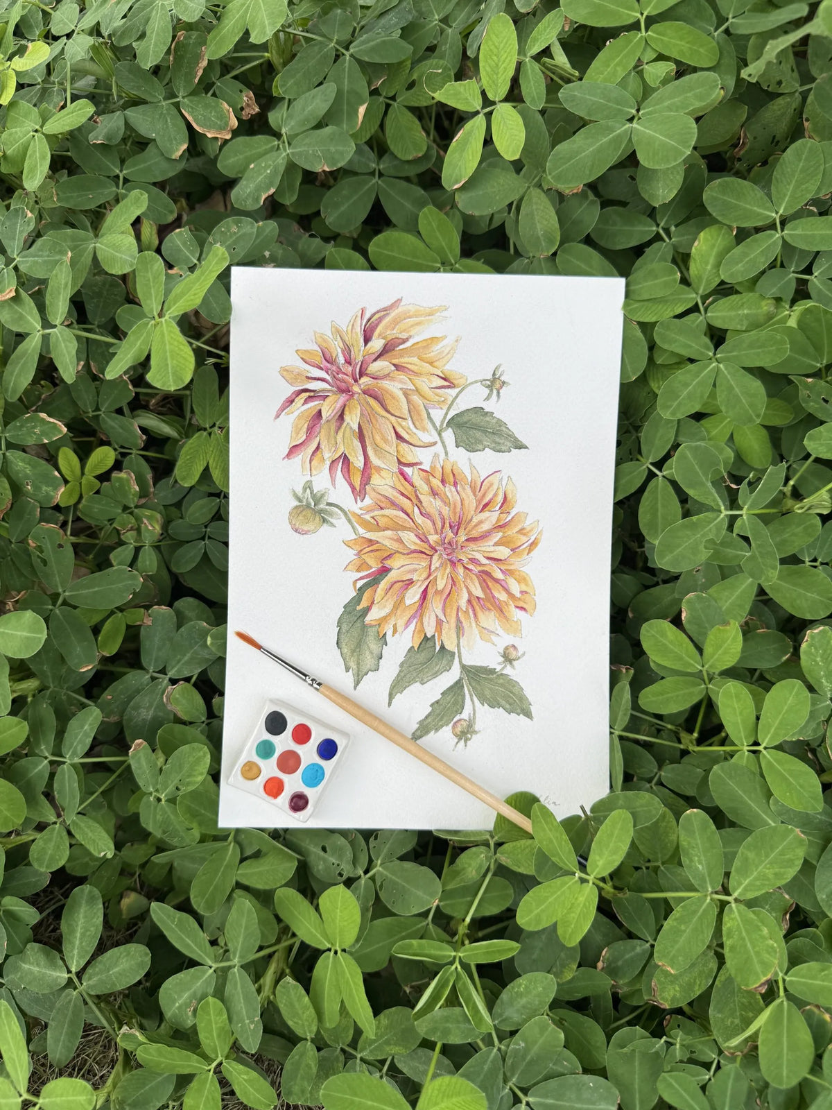 Oct 18, Sunday - WORKSHOP - Watercolor Botanicals