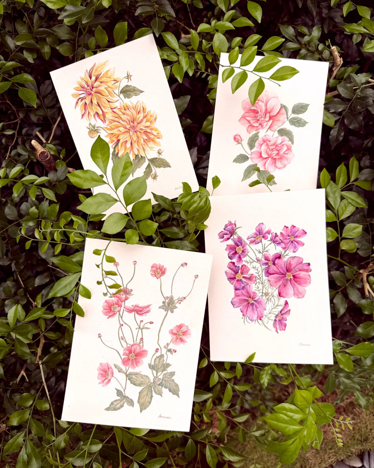 Oct 18, Sunday - WORKSHOP - Watercolor Botanicals