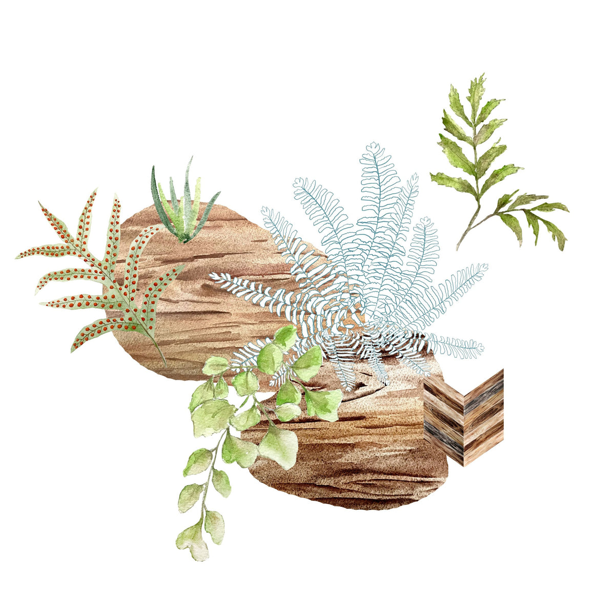 Painting Guide: Ferns