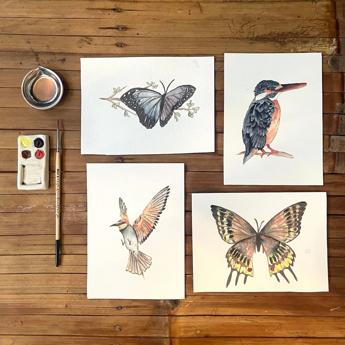 Painting Guide: Birds and Butterflies