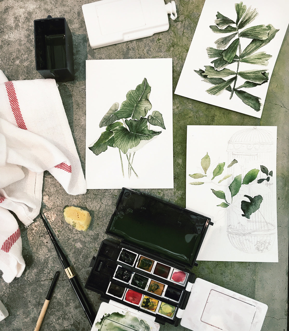 SF Sketch & Paint Field Trip at The Conservatory of Flowers