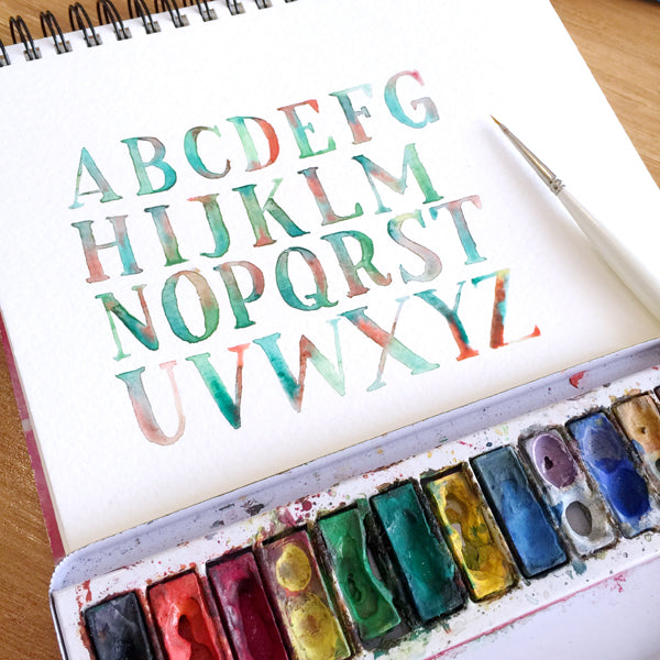 Succulents & Serifs