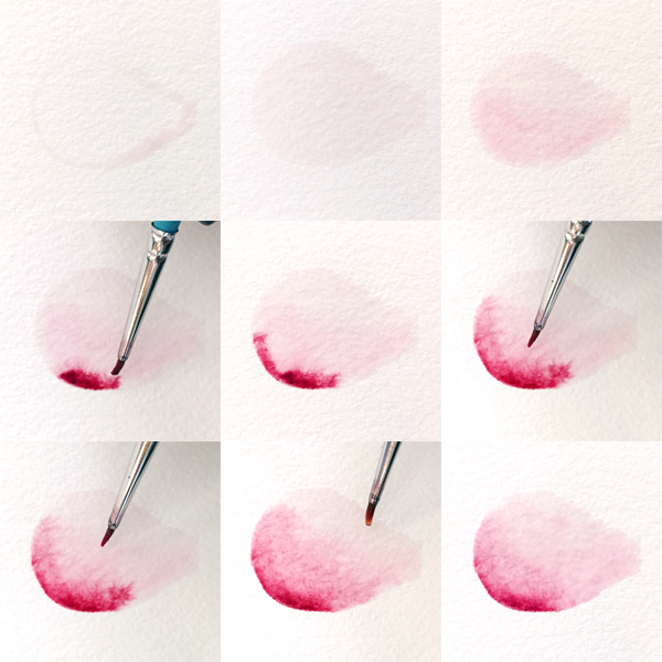 Peek into the Process: Watercolored Rose