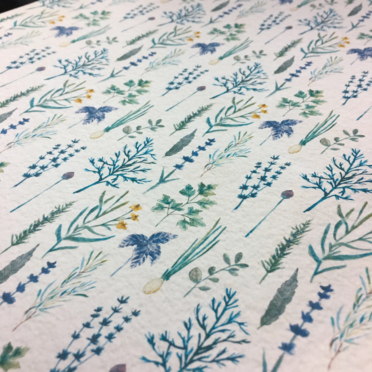 Watercolored Herbs Pattern for Marc & Danica