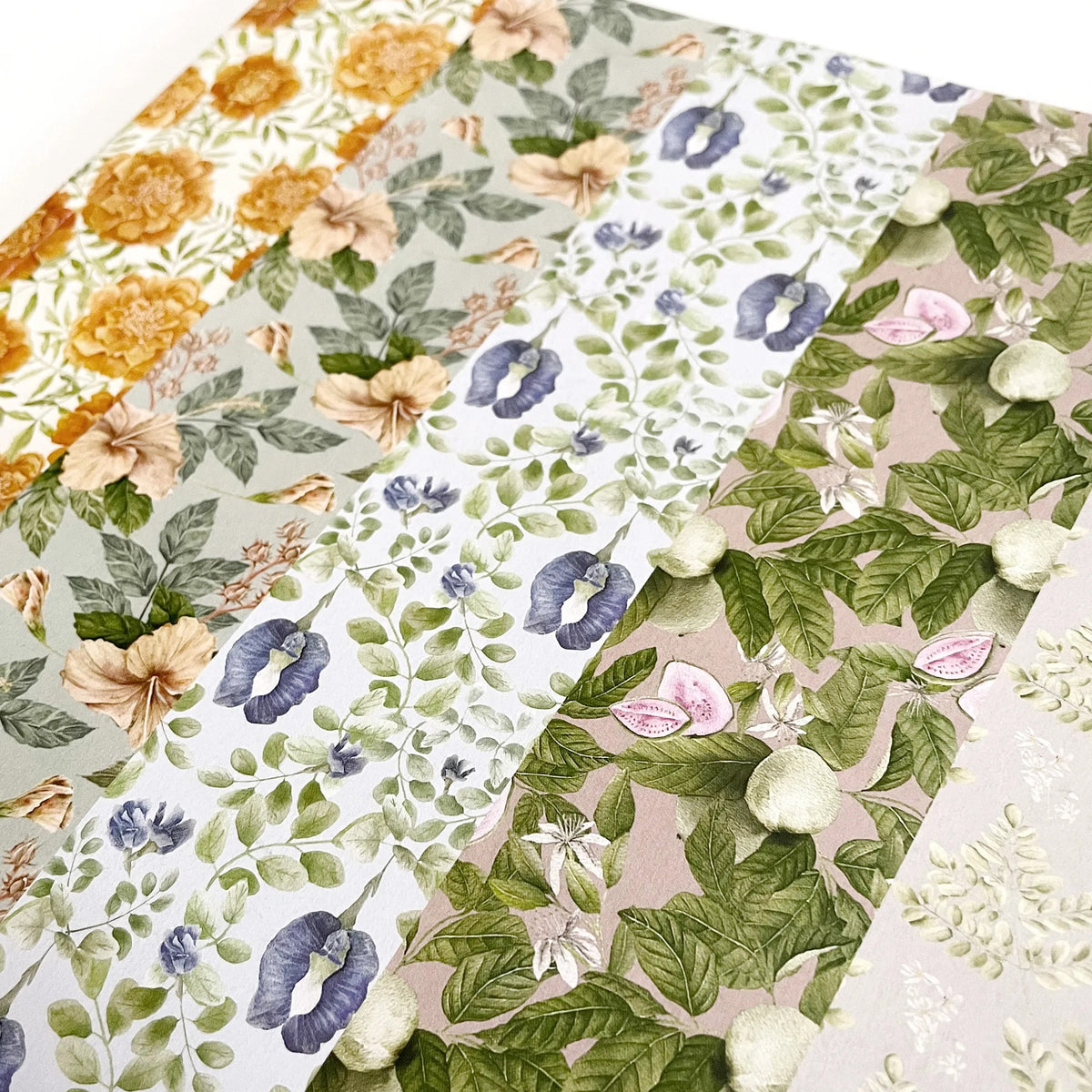 Wrapping Paper Book - At Your Own Pace