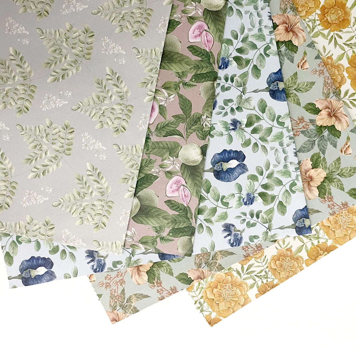 Wrapping Paper Book - At Your Own Pace