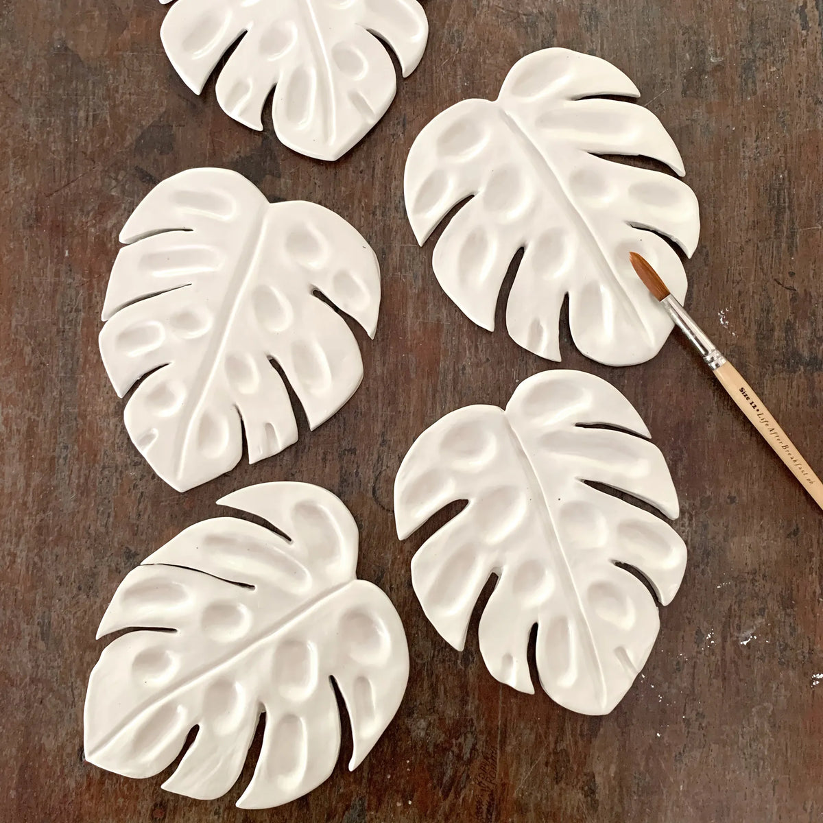 Monstera Ceramic Palette