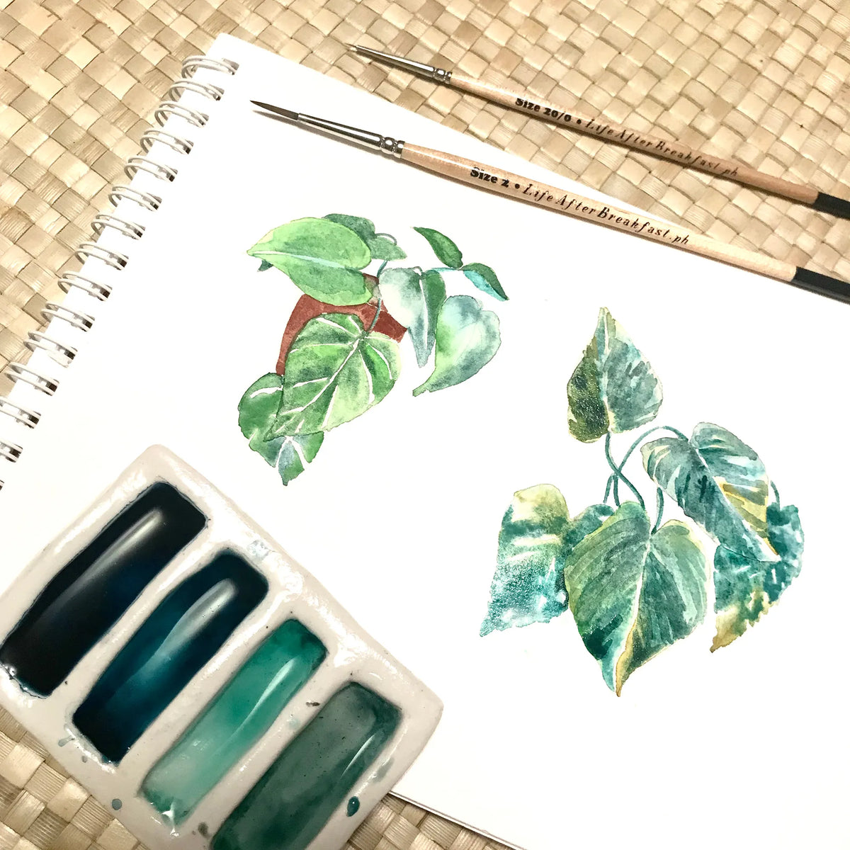 Wooden Watercolor Brushes