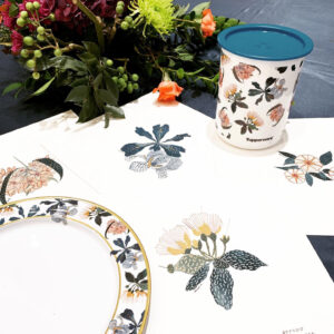Tupperware-Wildflowers-Pattern-Alessa-4-300x300 Illustration & Pattern Design