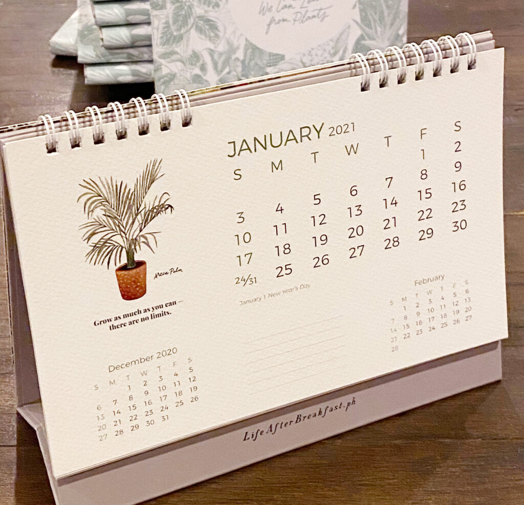 2021-Calendar-LifeAfterBreakfast-01a-1024x986 The 2021 Plan + Desk Calendar