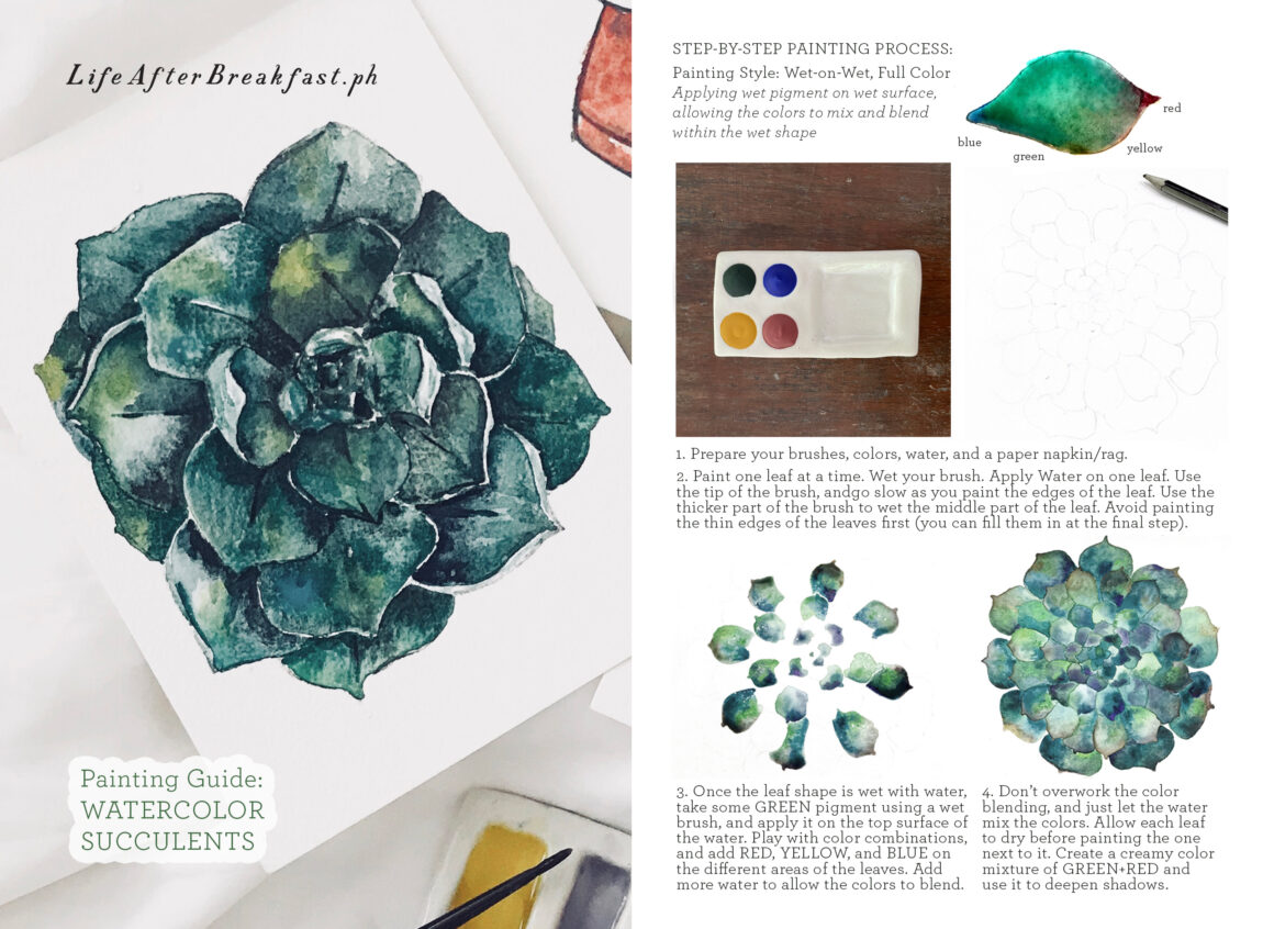 Painting Guide: Succulents - Life After Breakfast